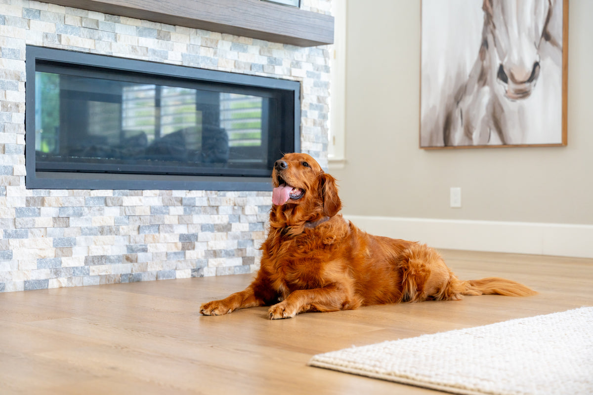 Golden retriever resting on light oak plank flooring beside a stone-tile fireplace and cream area rug