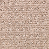 GOBI SANDS