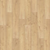 Canoe Oak