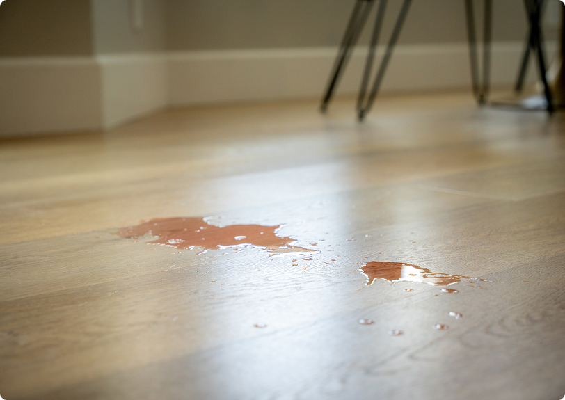 Spilled liquid pooling on the surface of waterproof light wood plank flooring