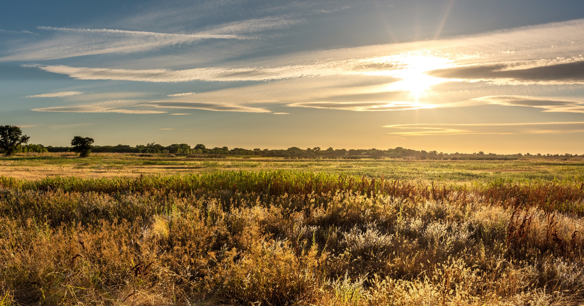 A scenic landscape photograph in Galt of a grassy plain at sunset, with golden sun rays breaking through clouds and illuminating the field.
