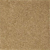 Stonington Beige
