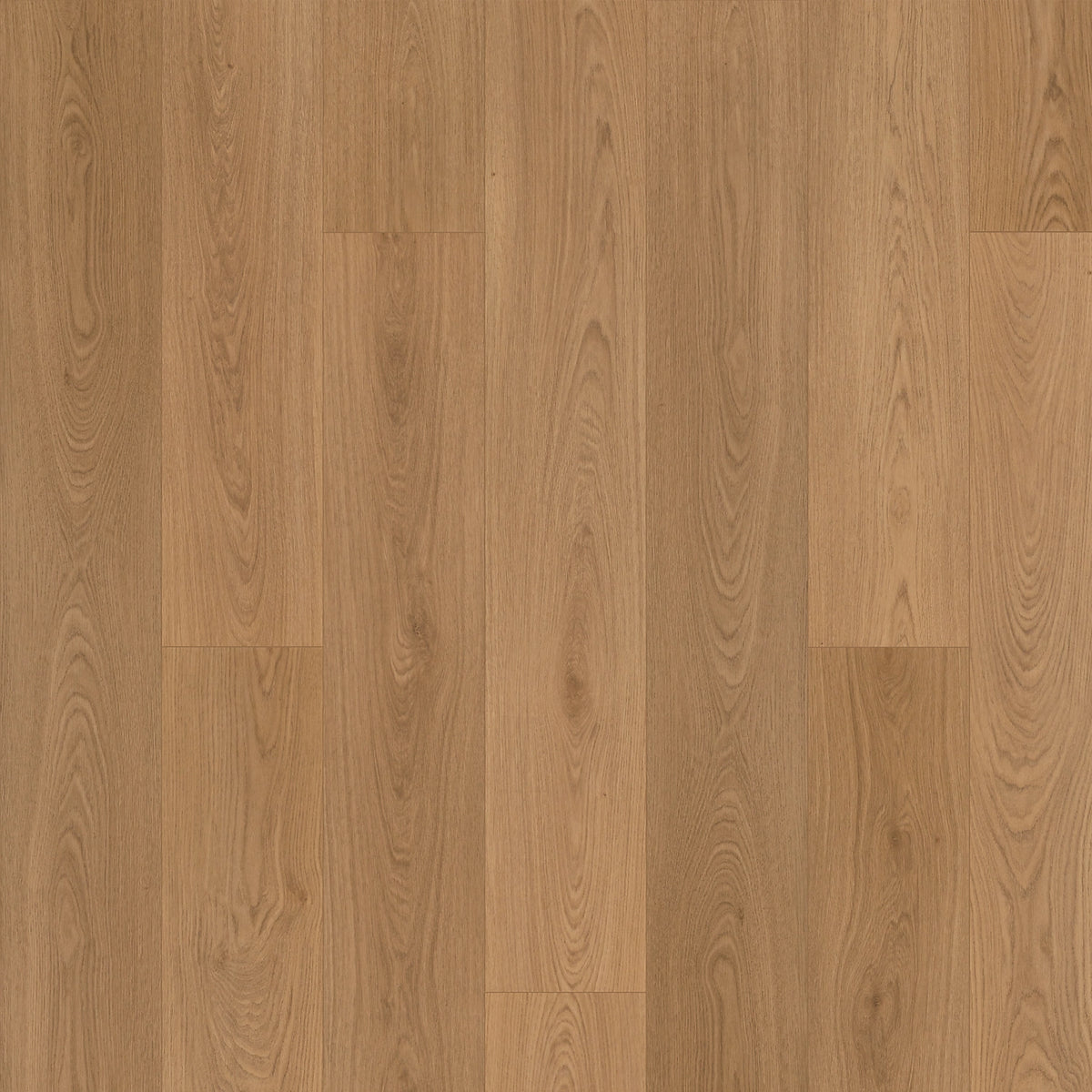 Summerhill Chase luxury vinyl plank in Baylor, a warm honey oak with fine wood grain