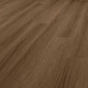 Mighty Acorn Oak