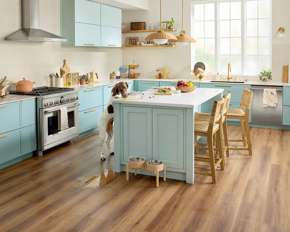 Warm brown wood-look plank flooring in a light blue kitchen with a dog by the island