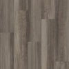 Oyster Oak