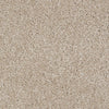 FRENCH CANVAS
