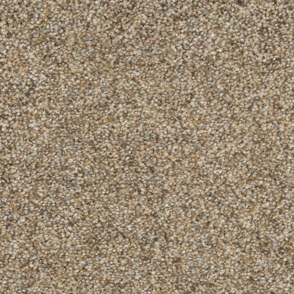 Quiet Color - AMBERWOOD