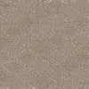 Aged Leather