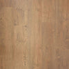 Bellingham Maple