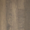Doeskin Birch