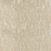 Aged Ivory