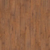 Twilight Oak