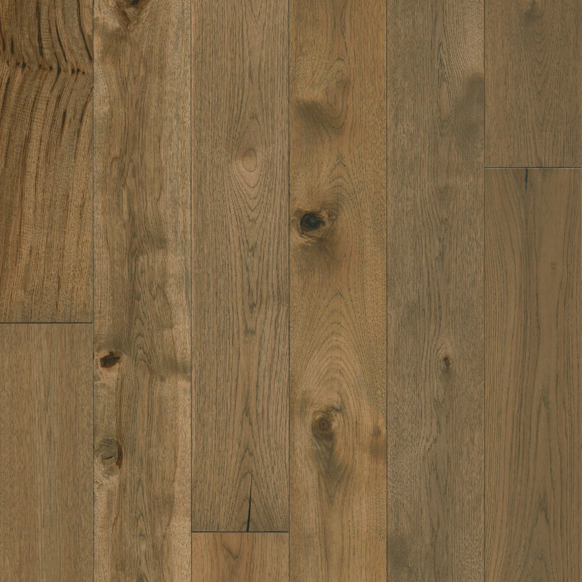 Whitney Kay3 hardwood flooring in a warm brown oak with visible knots and grain variation