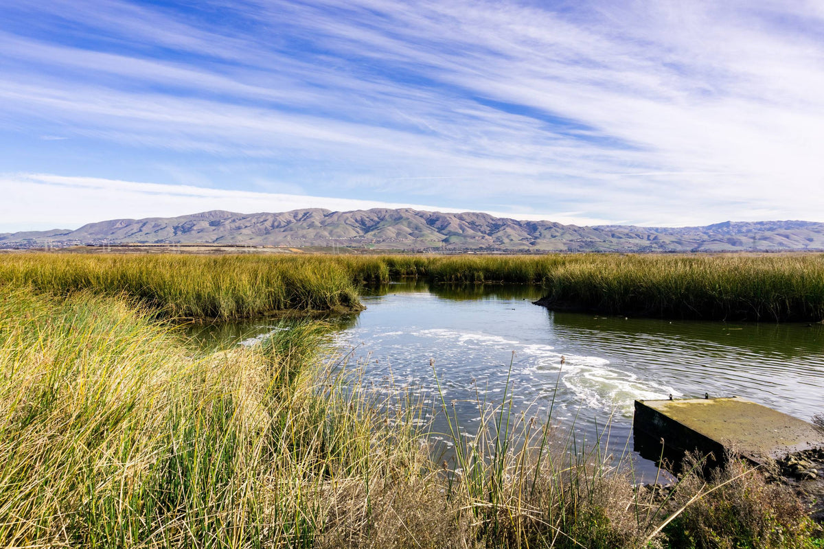 A scenic view of Alviso, part of S&G’s flooring service area.
