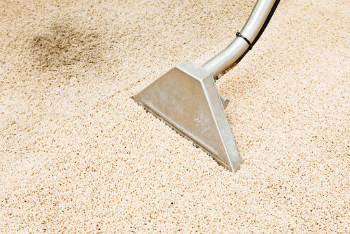 A carpet cleaning attachment treats a dark stain on beige textured carpet.
