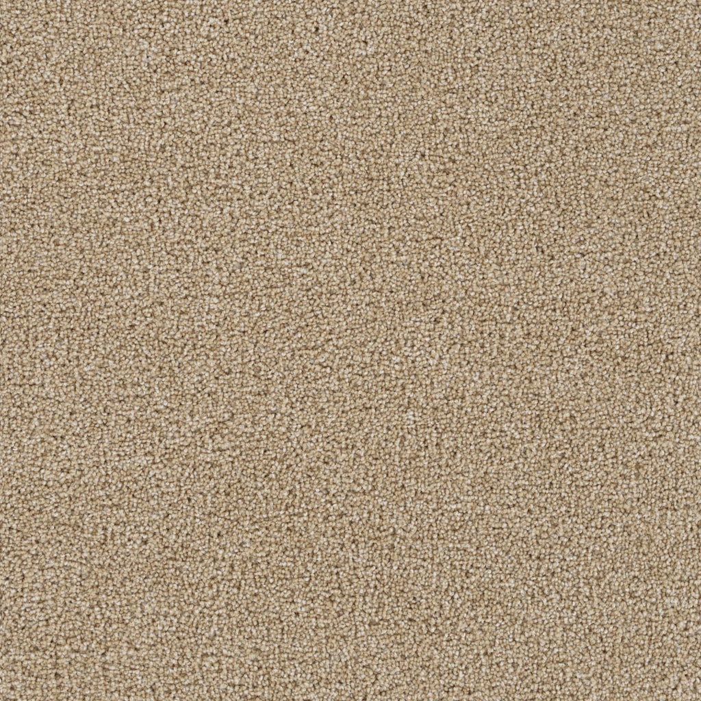 Group Energy - Cashmere