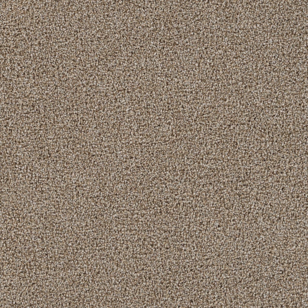Energy carpet swatch in Iced Coffee, a heathered taupe-brown textured cut pile