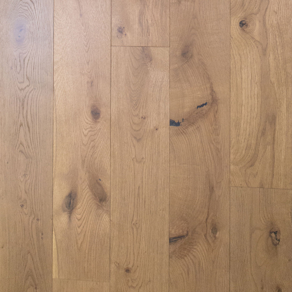 Apogee Oak