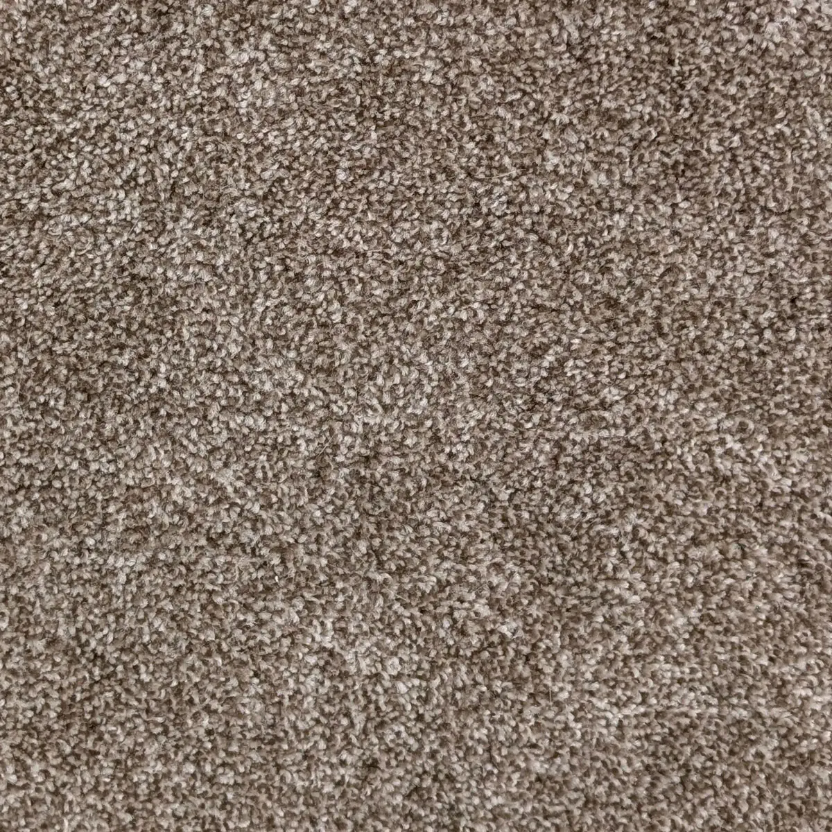 Carpet Care
