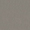 Taupe Stone