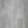 Gray Fox