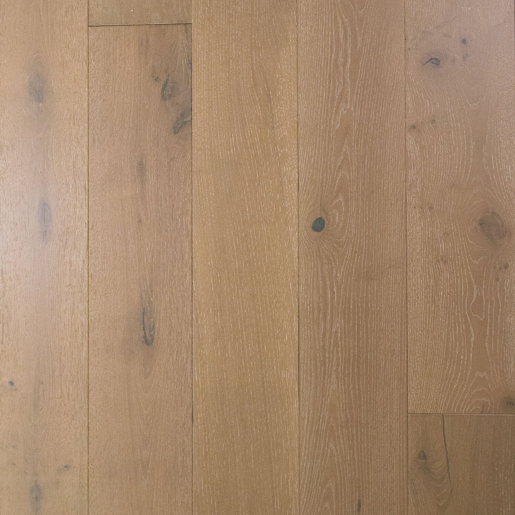 Apogee Oak
