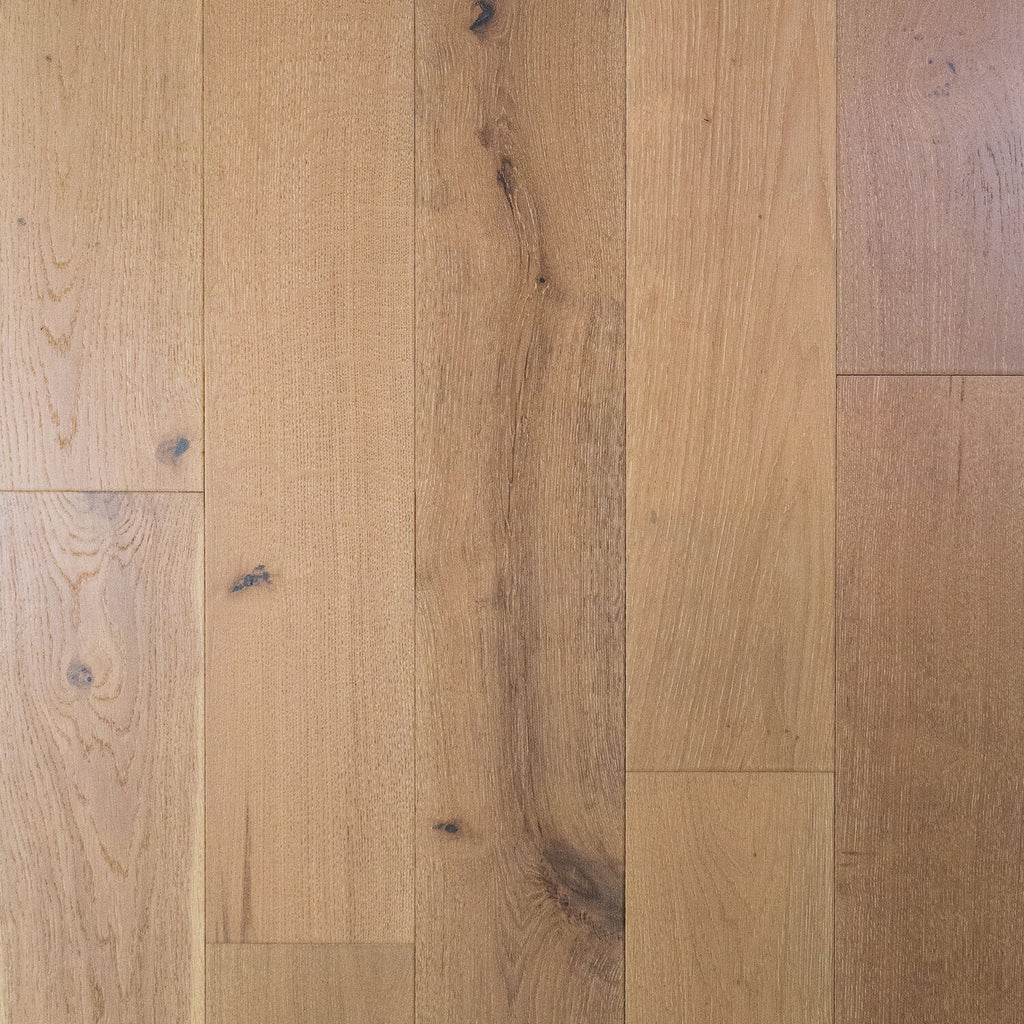 Apogee Oak