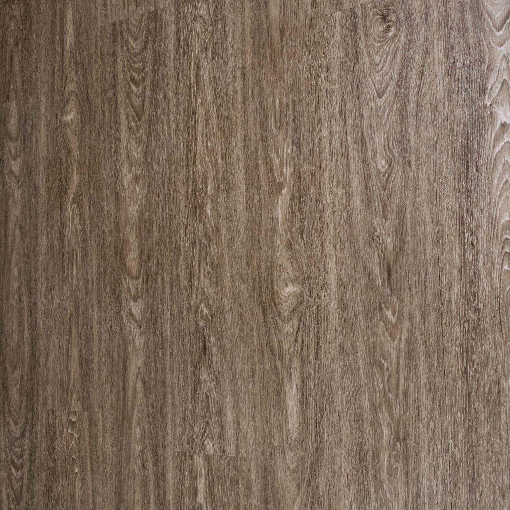 PM Plank - Shoreline