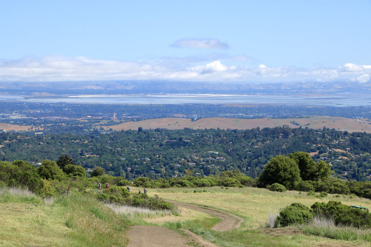 A scenic view of Portola Valley, part of S&G’s flooring service area.