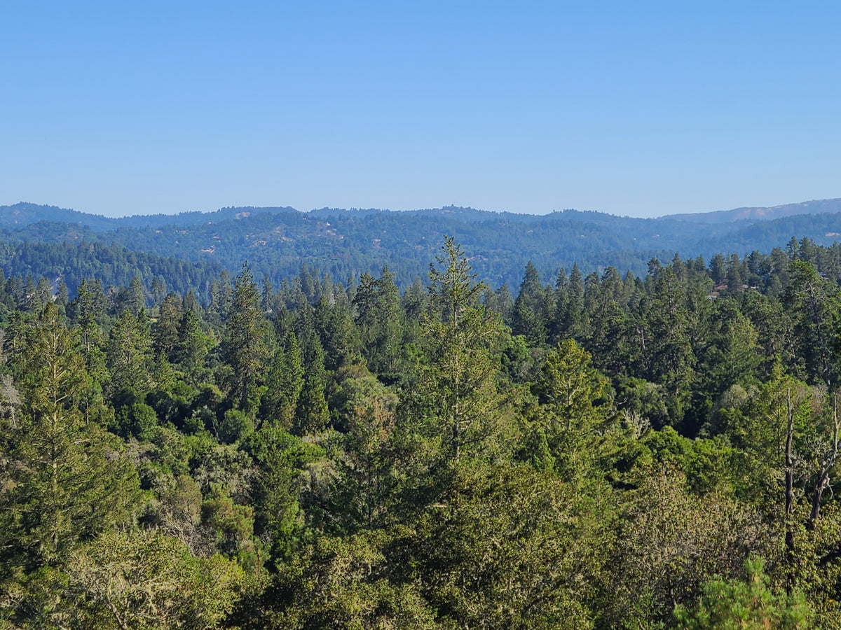 A scenic view of Scotts Valley, part of S&G’s flooring service area.