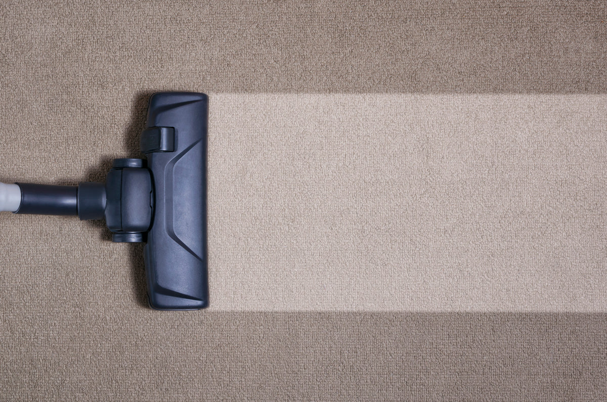 Vacuum head leaving a clean stripe across beige carpet