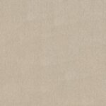 All Times Bleached Carpet