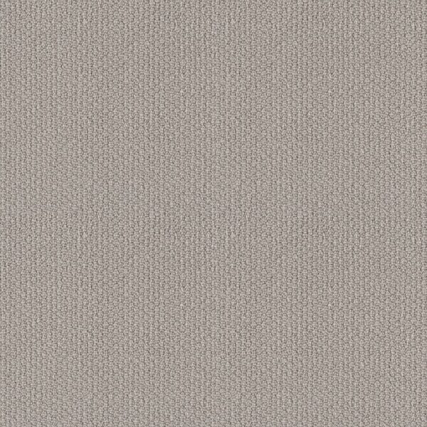 Calmness Loop Warm Greige Carpet