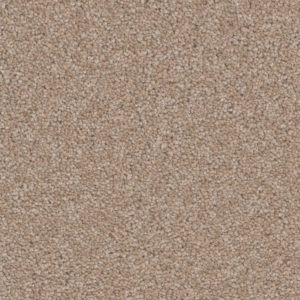 Delicate Touch Adorable Carpet