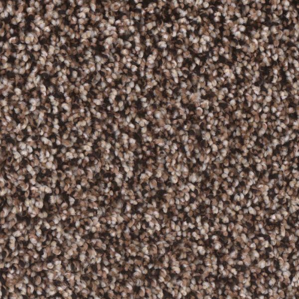 Lavish Image Airy Carpet