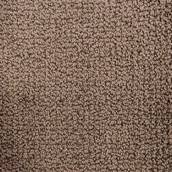 Harmony Loop Perfect Taupe Carpet