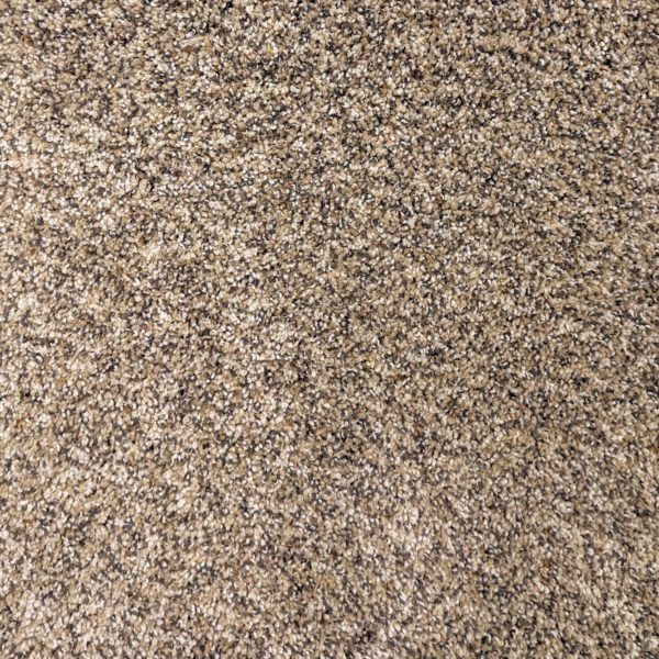 Highgate SPSG130 Karastan Carpet