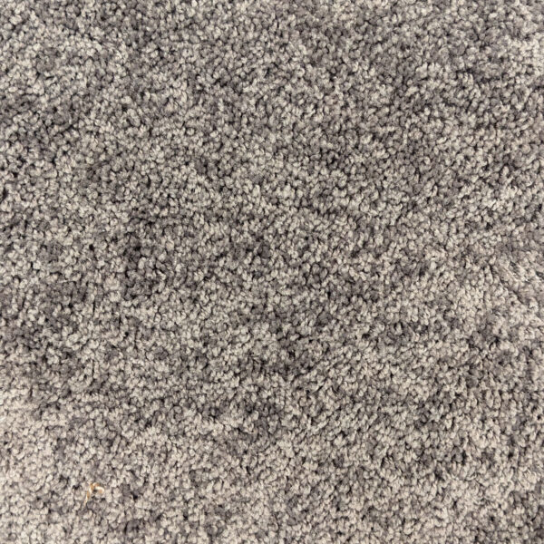 True Form New Grey Carpet