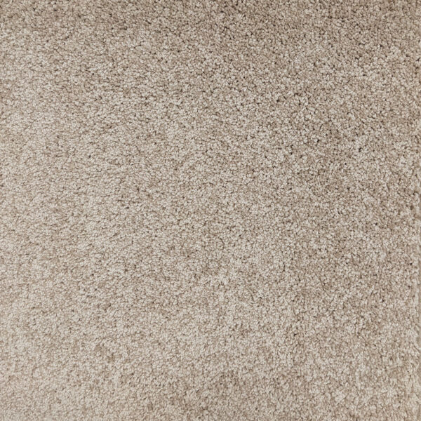Sonoma Style Birdbath Carpet