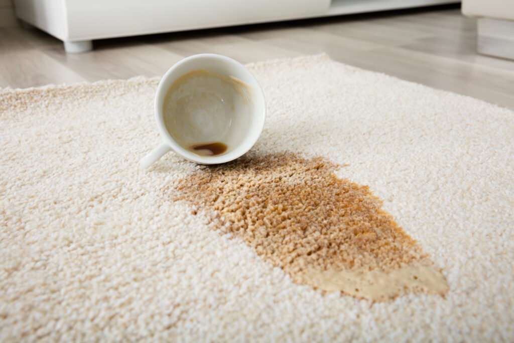 Spilled Coffee Stain on Carpet