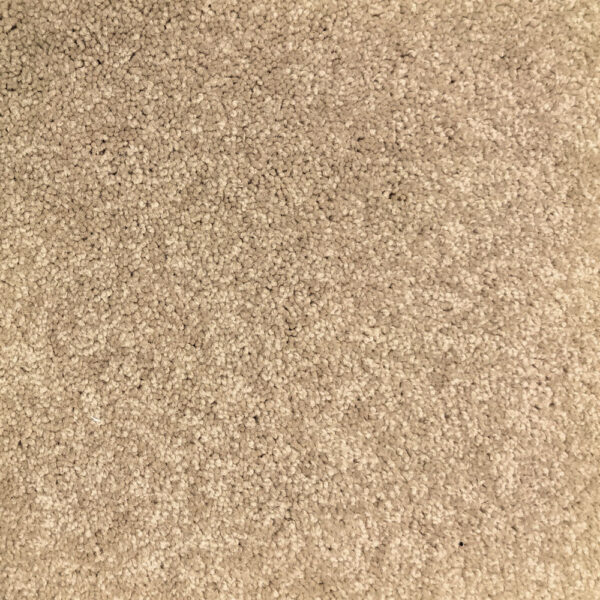 Valor Dusty Trail