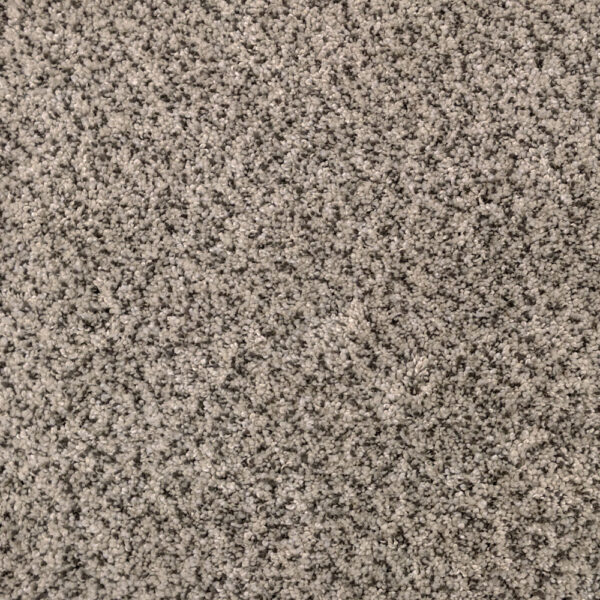 Practical Luxury Acadia Carpet