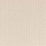 Eloquent Script Beachfront Carpet