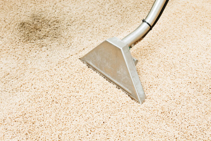 Carpet Cleaning Wand Vacuum