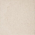 Impressive Dovetail Carpet