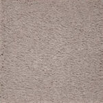 Impressive Perfect Taupe Carpet