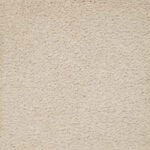 Impressive Romano Carpet
