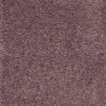 Impressive Winter Amethyst Carpet