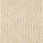So Soft Sand Dollar Carpet